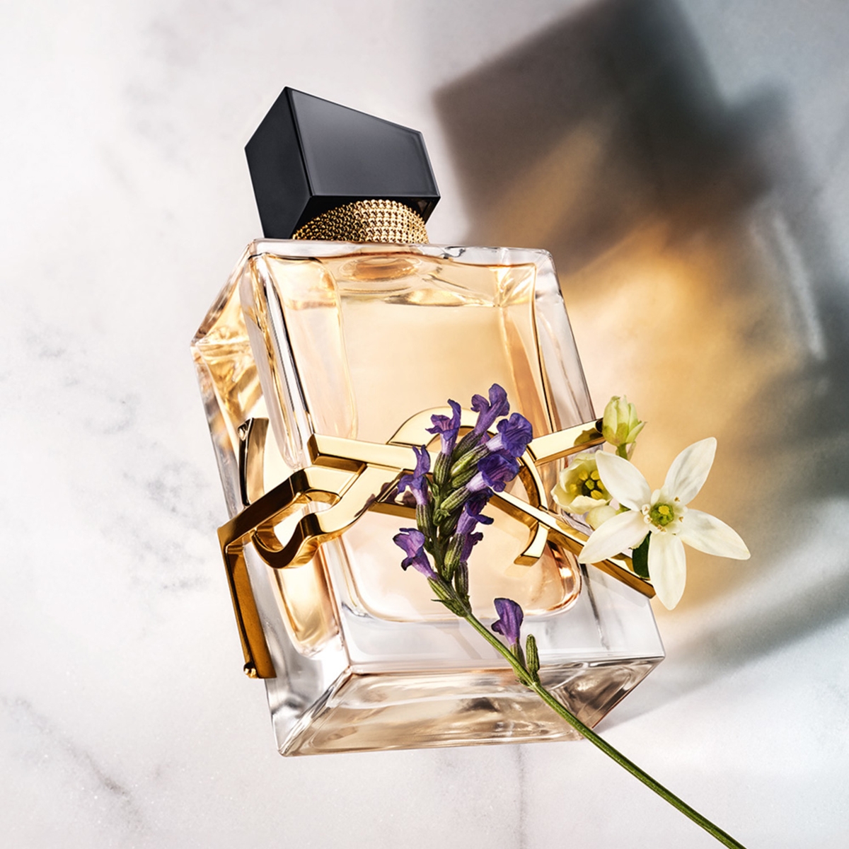 Yves saint laurent libre 100ml Outlet